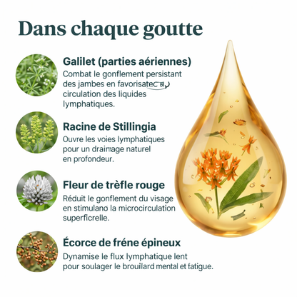 Gouttes de bien-être pour le drainage lymphatique
